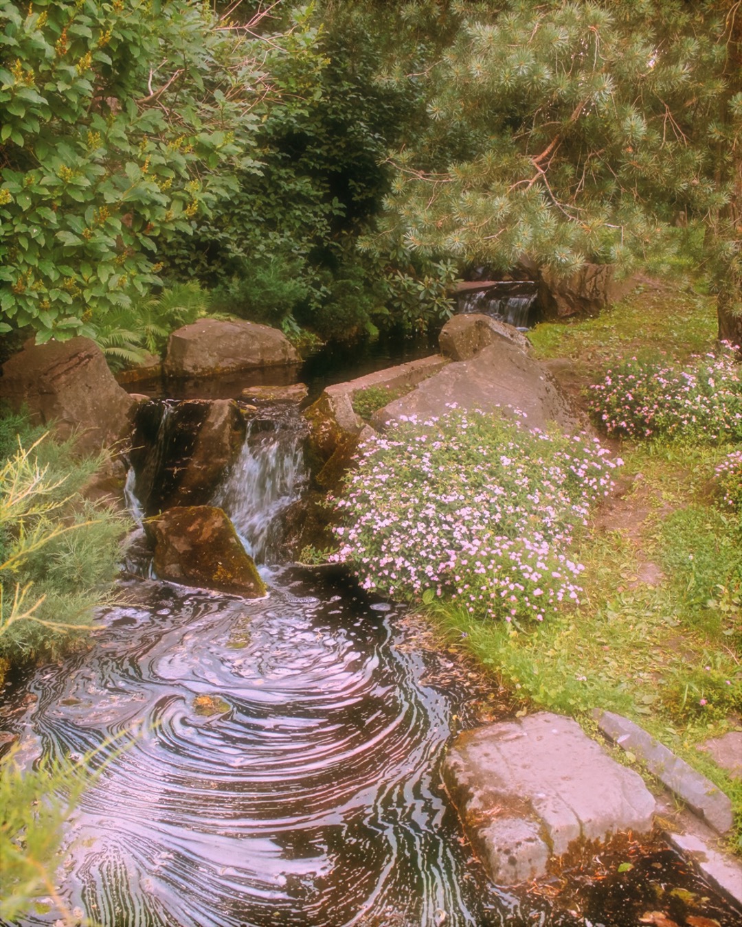 Japanese Garden in Moscow 